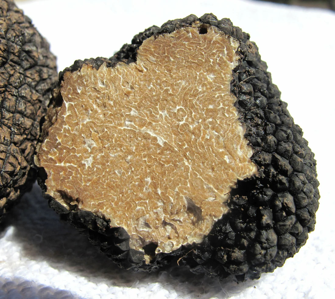 TRUFFLE OLIVE OIL