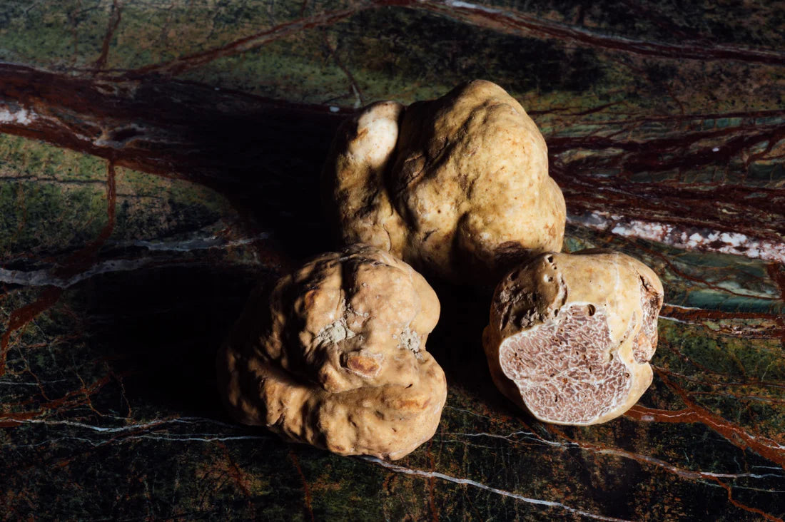TRUFFLE OLIVE OIL